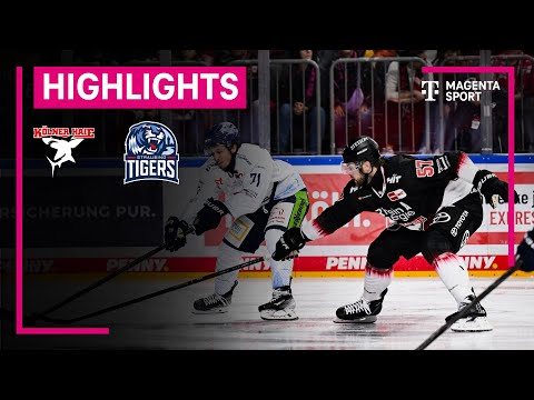Kölner Haie - Straubing Tigers | PENNY DEL | MAGENTA SPORT