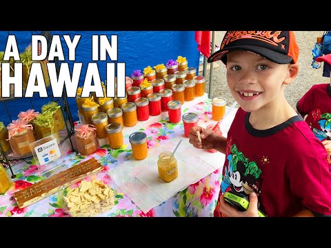 download lagu mp3 mp4 Family Fun Pack Hawaii, download lagu Family Fun Pack Hawaii gratis, unduh video klip Family Fun Pack Hawaii