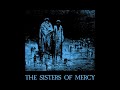 The Sisters Of Mercy - Body And Soul 7" (High Quality Needledrop) - GoodSound The Sisters Of Mercy - Body And Soul 7" (High Quality Needledrop)
