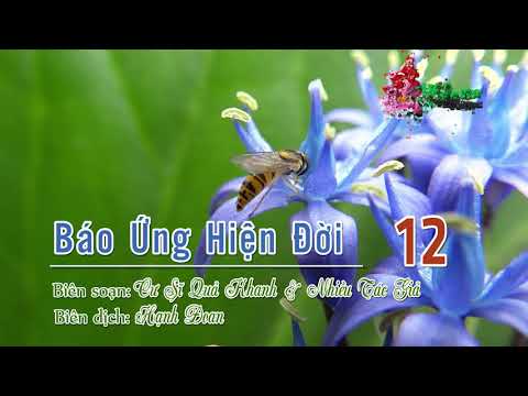 Báo Ứng Hiện Đời Tập III - 3