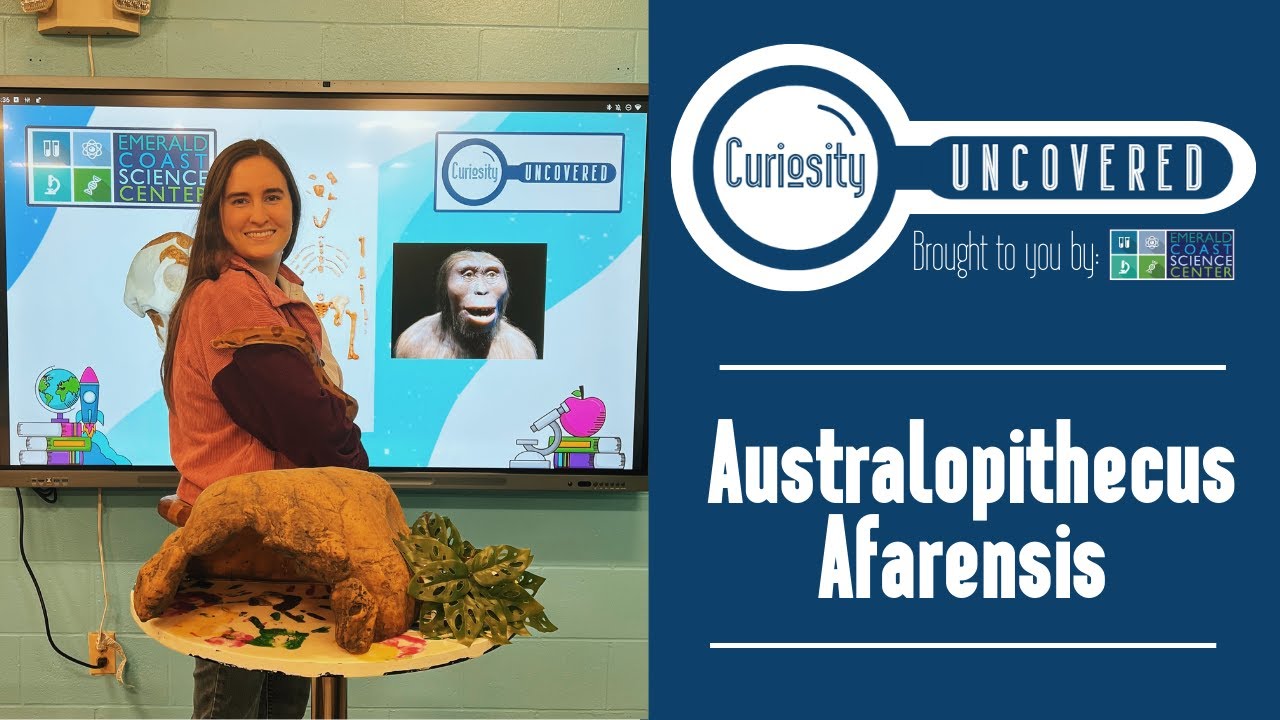 Curiosity Uncovered: Australopithecus afarensis