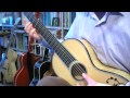 Mrs. Winter's Jump - John Dowland (guitar)