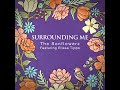 Surrounding Me - Official Lyric Video by The Sonflowerz