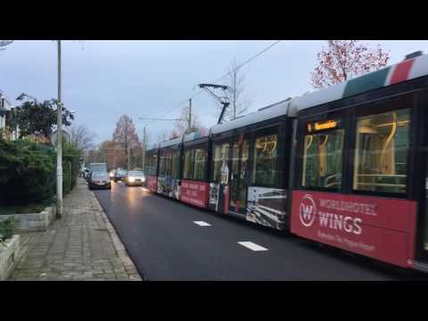 Tram aan de molenlaan in Rotterdam