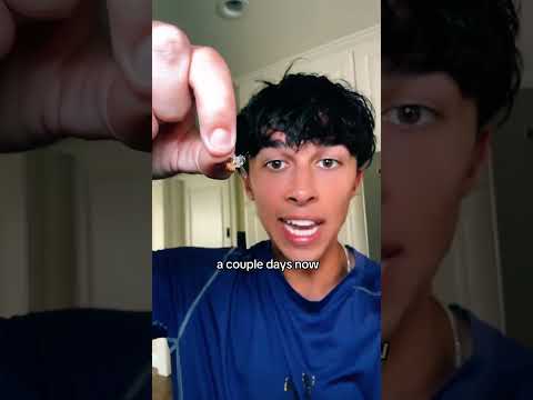 The Bees RESPONDED.. 🐝 #relatablestories #comedy #funnymemes