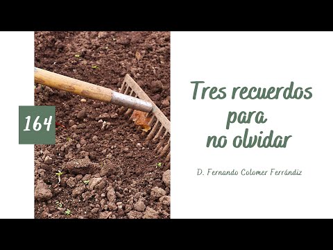 164. Tres recuerdos para no olvidar