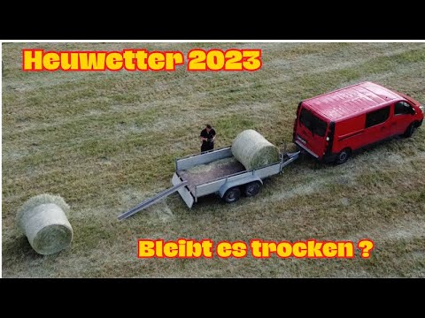 Heuwetter / Heuernte - Futter für die Schafe #kubota #dji