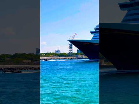 Thumbnail for Disney Dream 🛳️#like #share #comment #subscribe #cruiseship #cruise #vacation #shorts #short #video
