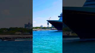 Disney Dream 🛳️#like #share #comment #subscribe #cruiseship #cruise #vacation #shorts #short #video