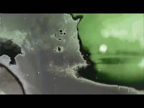 UNSECRET X EVAN CLINE - THE ASHES [OFFICIAL AUDIO]