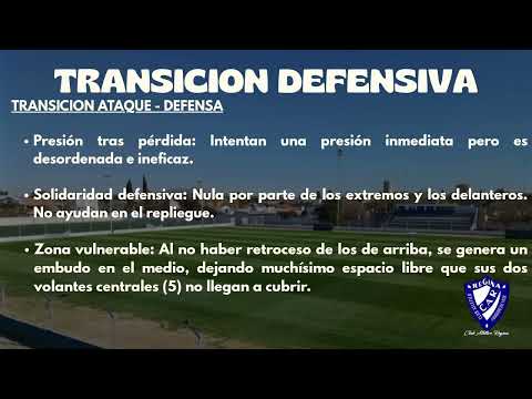 INFORME DE RENDIMIENTO - SAN PATRICIO DEL CHAÑAR