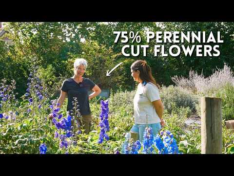 Ha costruito la sua fattoria di fiori recisi attorno alle piante perenni: ecco perché