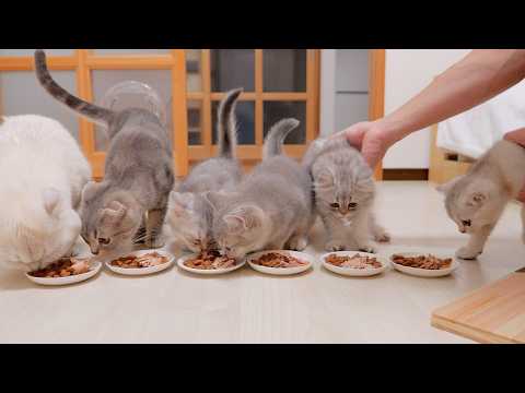 YouTube 썸네일