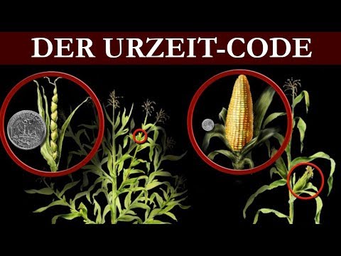 Das Ende der Gentechnik - Der Urzeitcode