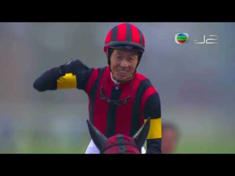 2015 The Longines Hong Kong Cup G1 - A Shin Hikari (榮進之光) - Y.Take (38倍)