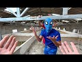 8 SPIDER MAN Bros Meet Cappucino Assassin Lirili Larila Dancing In Abandoned Area Mystery POV