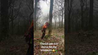 Tree felling demo for my students of a Danish pie/holding cut #training #forestry #chainsaw