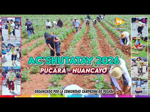 ACSHU TATAY - PUCARA 2026 // COMUNIDAD DE MARCAVALLE