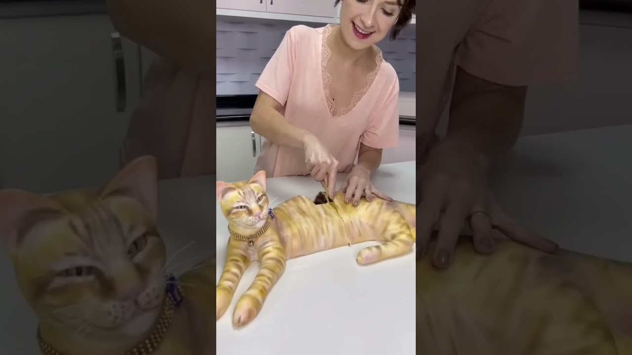 #cat #cakes