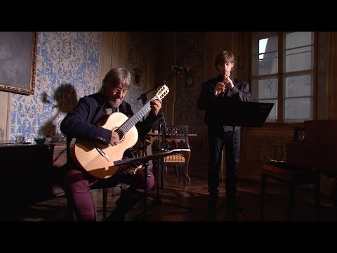 DUO SALIN - Salottino musicale a palazzo Marzani - Villa Lagarina (TN)