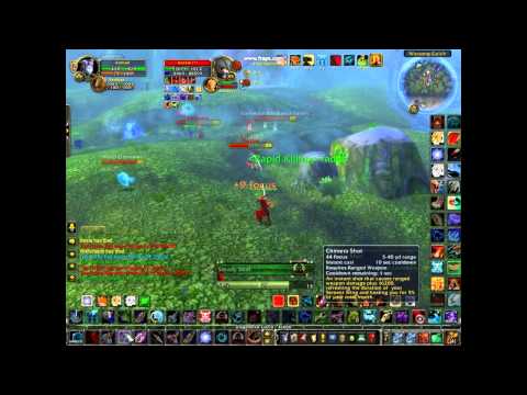 Airmail - MM Hunter PvP level 85