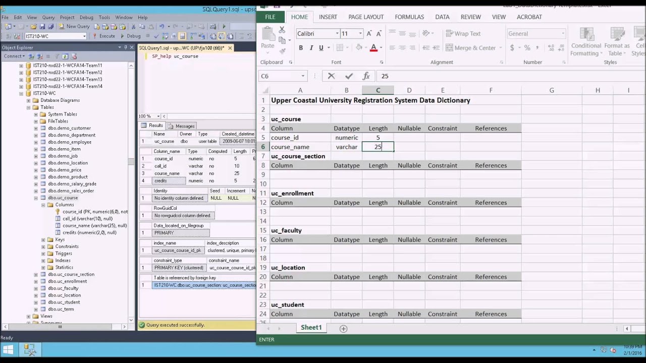 IST 210 Lesson 3 Overview