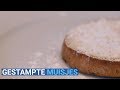 Documentaire: Gestampte muisjes