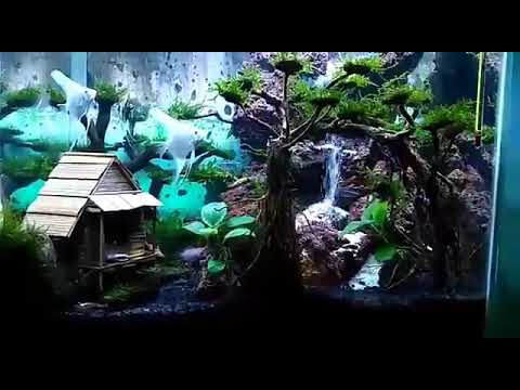 Aqua Scape Air Terjun Rindang Terindah Depok