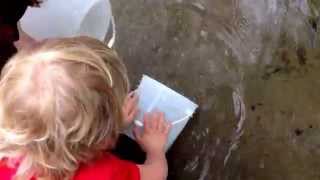 Swim free little fish