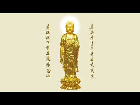 12小時念佛】淨空老和尚慢版佛號