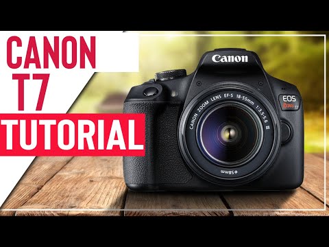 Canon T7-Tutorial für Anfänger – So richten Sie Ihre neue DSLR ein