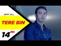 Tere Bin Official Video Dus Mint Sippy Gill Punjabi Romantic Songs Punjabi Songs 2015