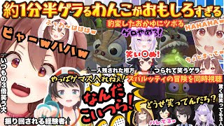 好奇心を抑えられない"爆笑製造犬"がゲラるツボる涙するも結局いつもの自由奔放に振り回される"ころねが笑えばみんな笑う"爆笑SMOKまとめ【戌神ころね／大神ミオ／大空スバル／猫又おかゆ／ホロライブ】