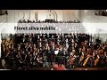C. Orff | Carmina Burana | Floret Silva Nobilis | Conductor: Andrej Bursać