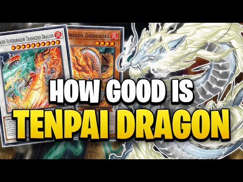 How Good is the TENPAI DRAGON Archetype?
