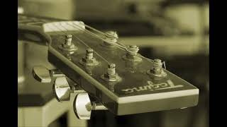 Eddie Vedder - You've Got To Hide Your Love Away (Acoustic)