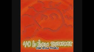 40 Below Summer: I'm So Ugly