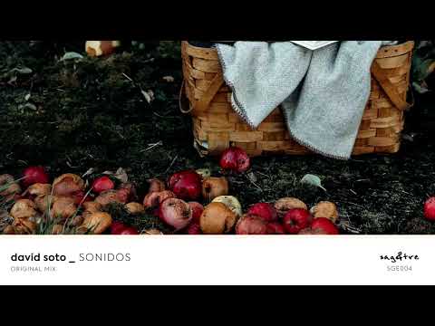 David Soto - Sonidos [SGE004]