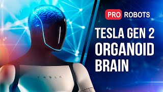Tesla's Tech Revolution: New Optimus Robot | Сyborg computer | Tech News | Pro Robots