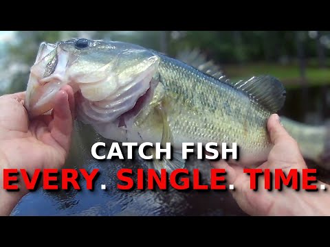 This Easy CHEAT Gets WAY MORE Bites And BIGGER Fish!!!!! (Works ANYWHERE!!!!!)