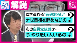 【解説】石破総理は「早期辞任不可避」政治ジャーナリスト青山氏「幹事長が辞めさせない」続投"裏の理由"も解説｜旬感LIVE とれたてっ!〈カンテレNEWS〉