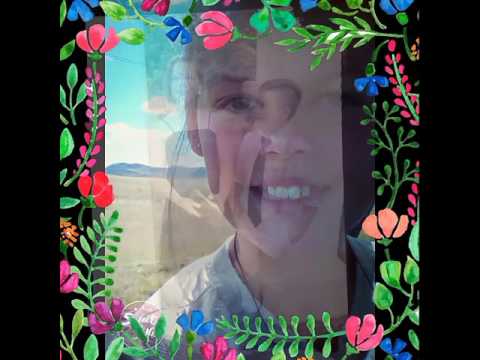 Shape of you remix (pictures)