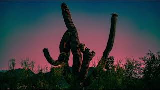 Gustavo Cerati - Cactus (Gøvinda (Arg) Unofficial Remix)