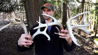 5 SHEDS IN 3 MINUTES! 2021 2 Complete Sets! + Shed Hunting Talk & Pa Record Book Deer Mounts + MORE