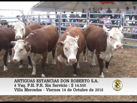 14-10-16 Venta de Vac. con cría y Vaq. S/ Serv. P.R. - Antiguas Estancias Don Roberto - V. Mercedes.
