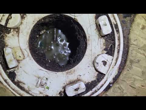 Floor Drain Filled with Fruit Flies in Cream Ridge, NJ