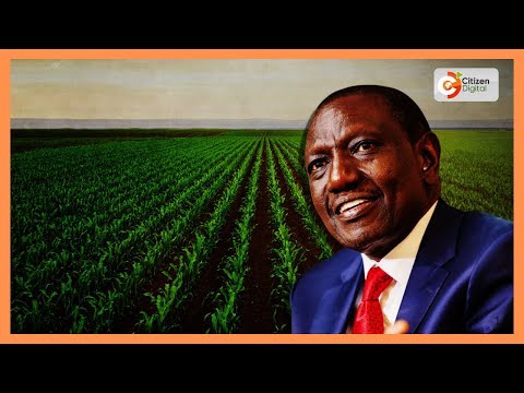 Miaka mitatu ya Ruto: Mafanikio na changamoto sekta ya kilimo