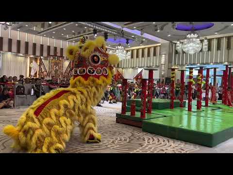 Adidas Lion Dance Competition In Yau Tsim Mong, Hong Kong (part 1) - A Team Score: 83 Out Of 100