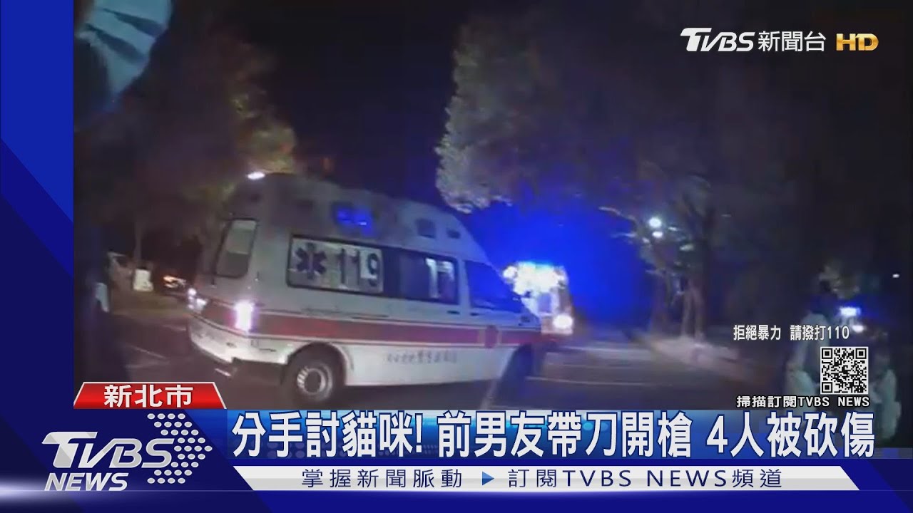 分手討貓咪！開道具槍談判　前男友糾眾砍傷4人