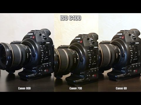 Canon 80D HIGH ISO TEST vs Canon 70D vs Canon 6D /  Detalization Test